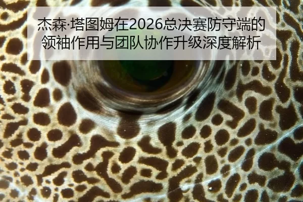 jie-sen-ta-tu-mu-zai-zong-jue-sai-fang-shou-duan-de-ling-xiu-zuo-yong-yu-tuan-dui-xie-zuo-sheng-ji-shen-du-jie-xi-2-740.jpg